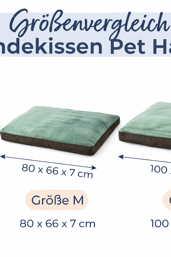 Hundekissen Marley im Wohnraum