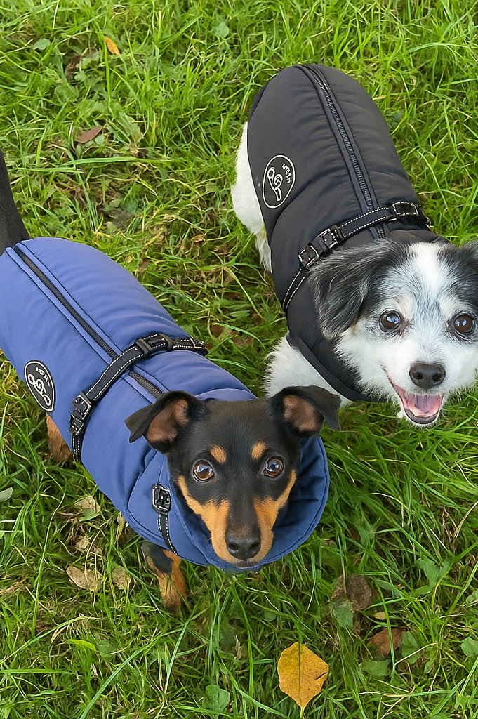 Hundemantel Laika in Blau und Schwarz mit Geschirr