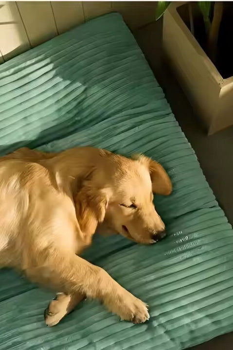 Hundekissen Marley, Seitenansicht