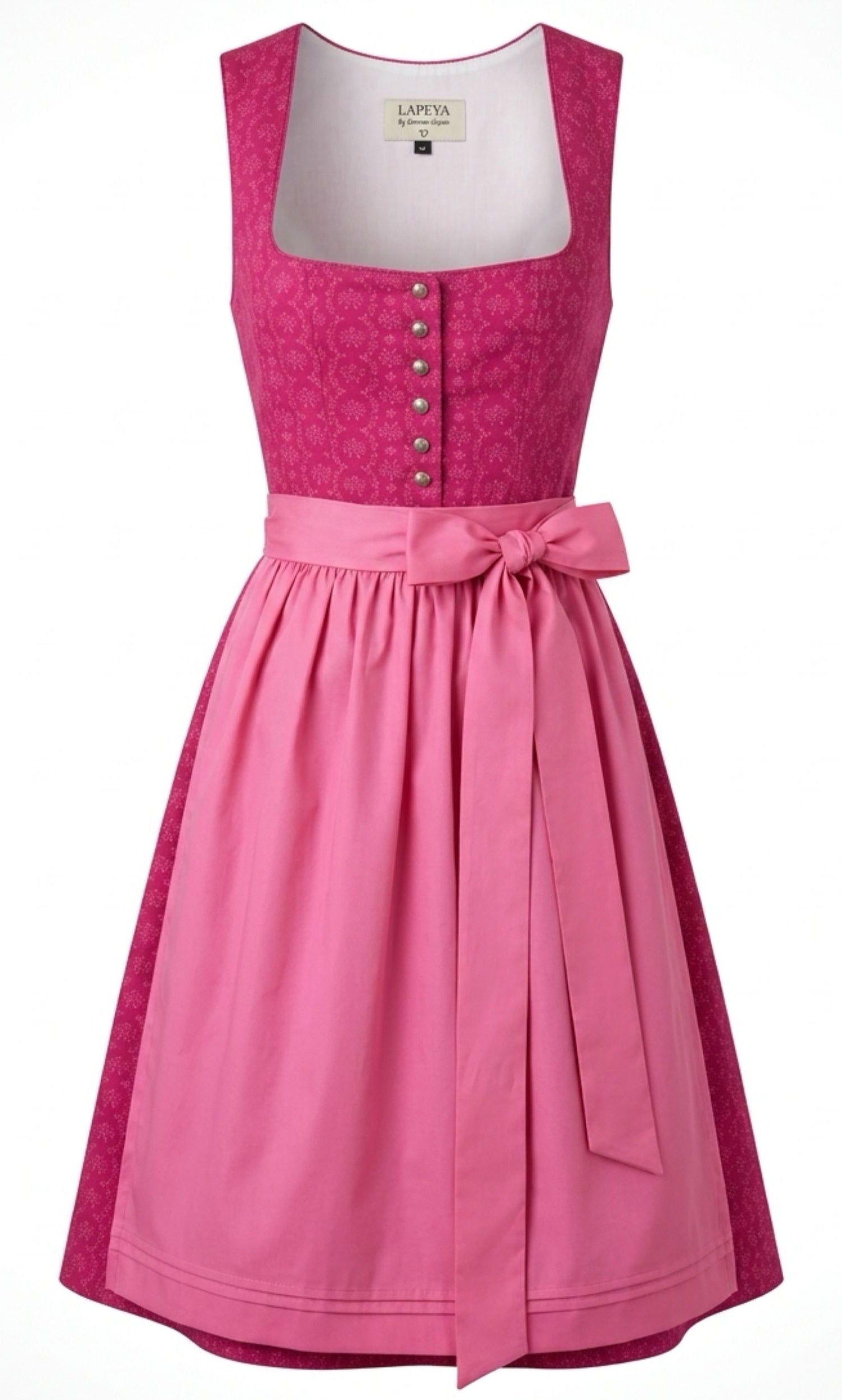 Freisteller Foto von Dirndl Erika