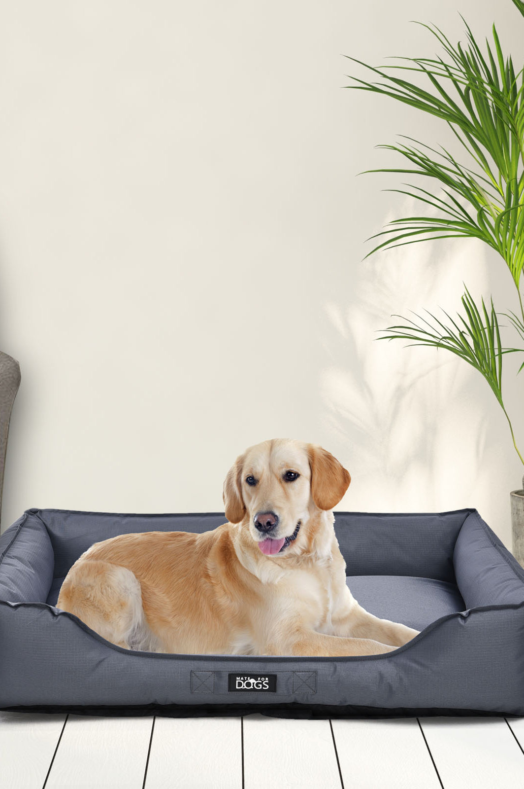 Hund liegt im Hundebett Pepon