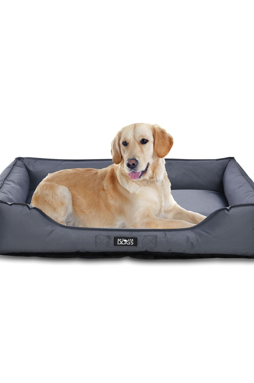 Hundebett Pepon in Grau, abwischbar