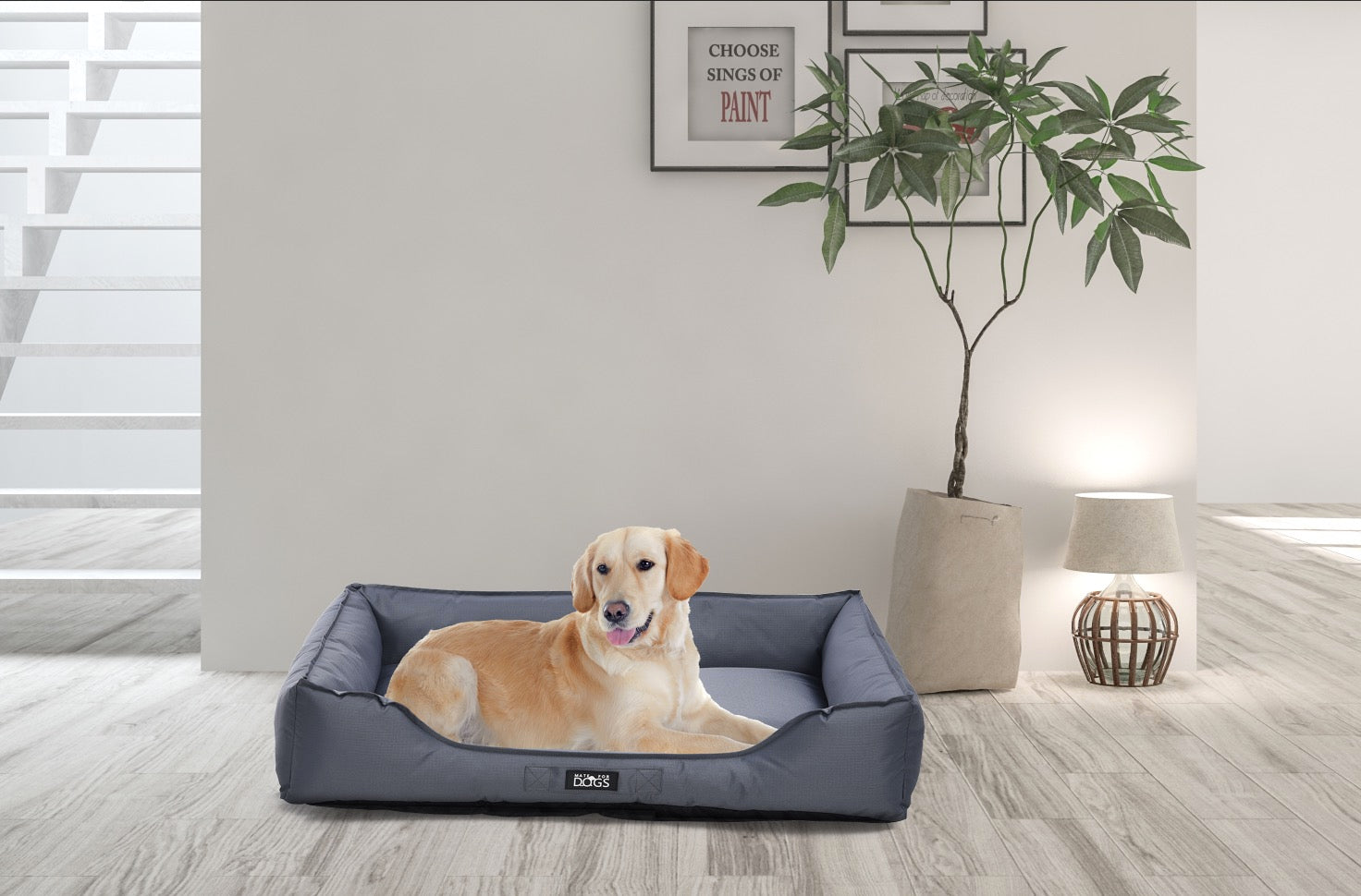 Hundebett Pepon mit Maßangaben