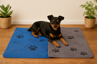 Hundehandtuch Buddy im Einsatz