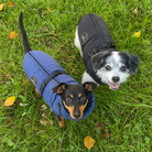 Hundemantel Laika in Blau und Schwarz mit Geschirr