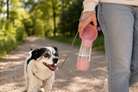 2-in-1 Hundetrinkflasche im Einsatz beim Spaziergang