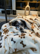 Hund liegt auf der Hundedecke Gipsy