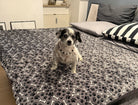 Hundedecke Struppi im Körbchen