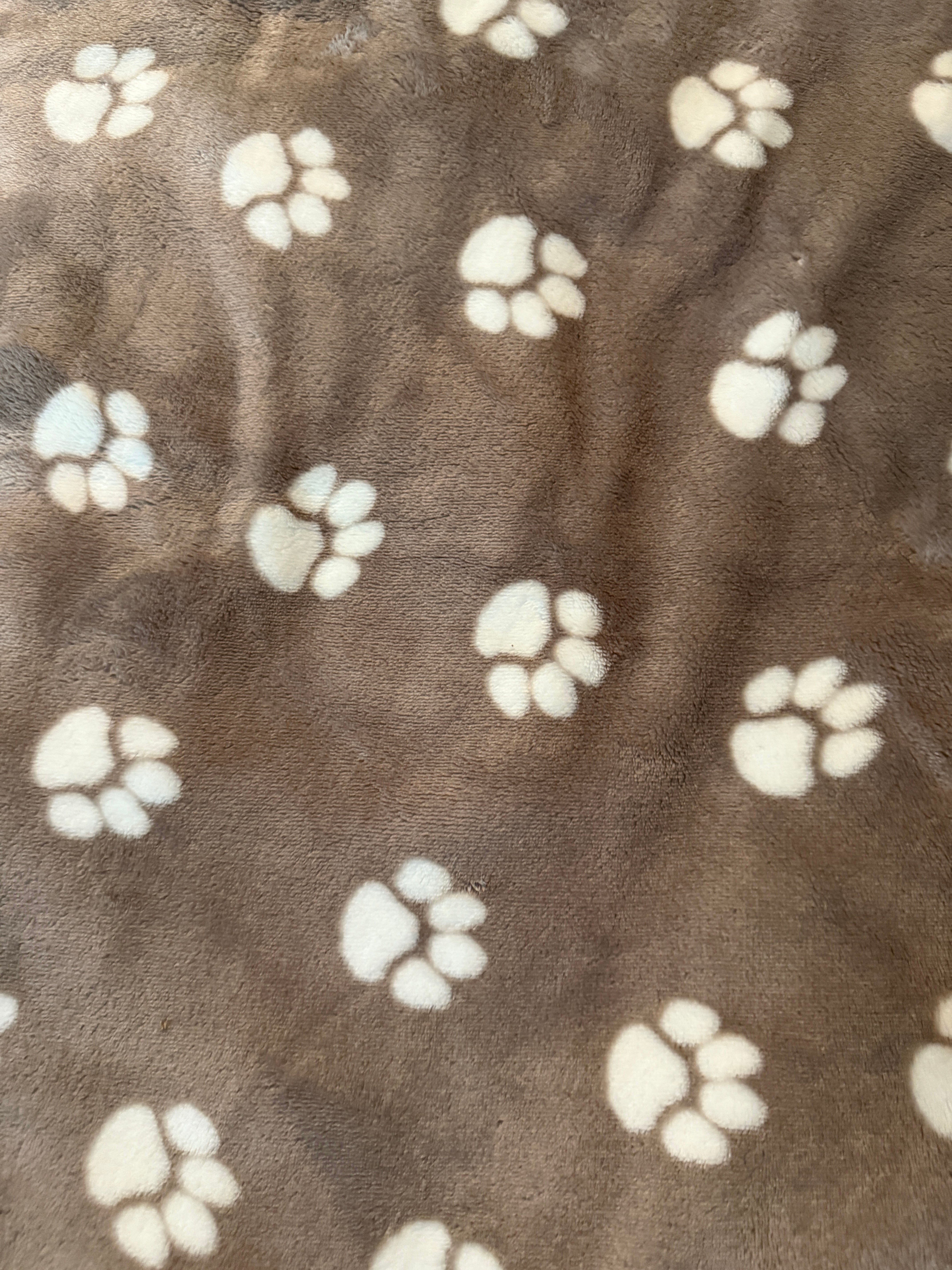 Hund liegt auf der Kuscheldecke Merlin