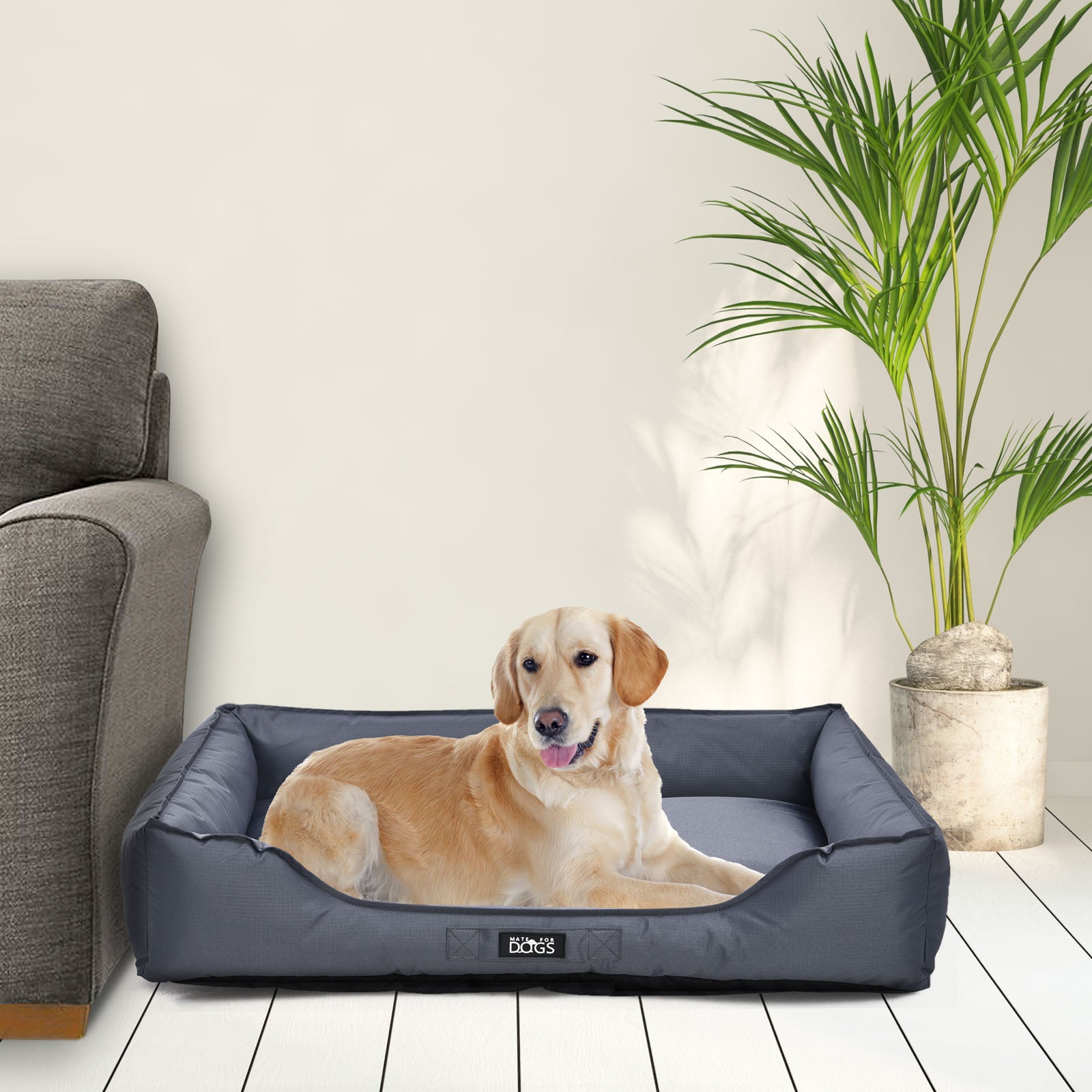 Hund liegt im Hundebett Pepon