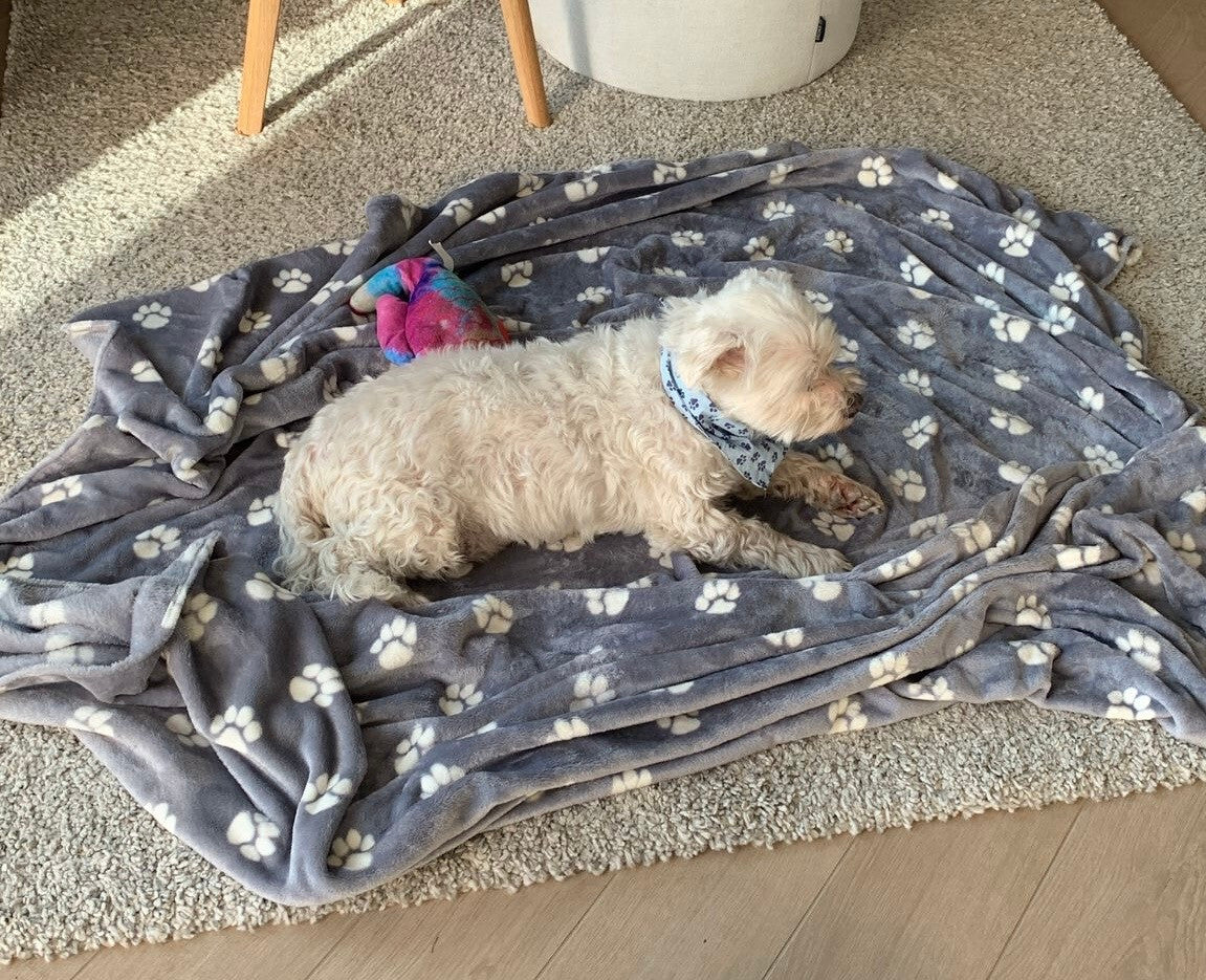 Kuscheldecke Merlin für Hunde, Detail der Oberfläche