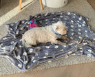 Kuscheldecke Merlin für Hunde, Detail der Oberfläche